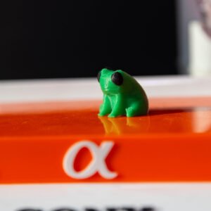 Photo lessons: Beginner (BYOG)